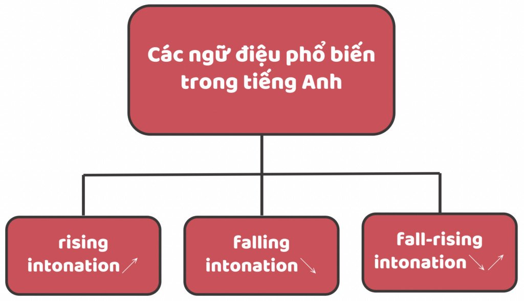 Các dạng ngữ điệu lên, xuống và luyến trong tiếng Anh
