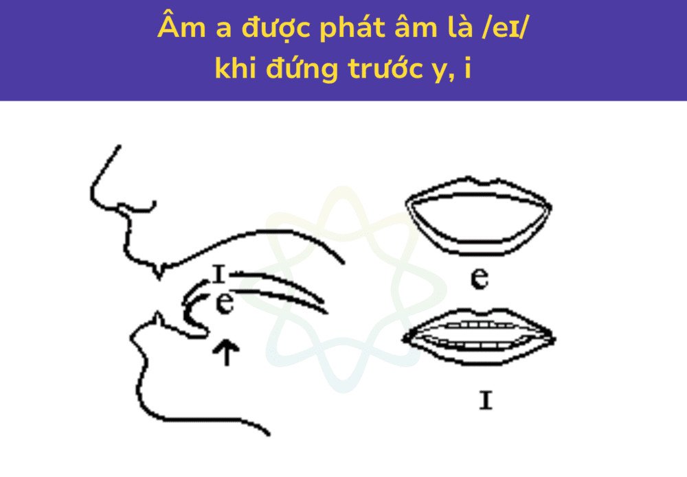 Cách phát âm a là /eɪ/ trong ay, ai