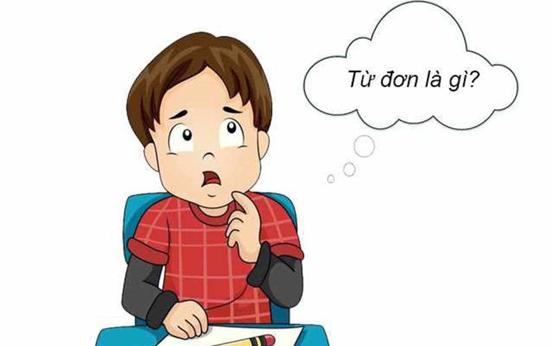 Cấu tạo cơ bản của từ đơn trong tiếng Việt