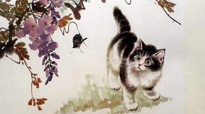 Cây phong thủy hợp tuổi Mão mang lại tài lộc