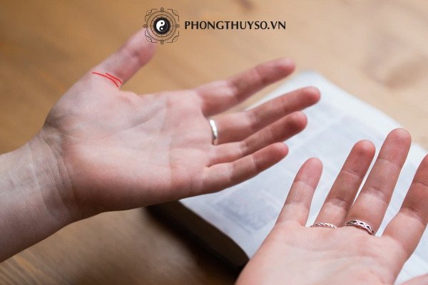 Chỉ tay ngây thơ và trí tuệ