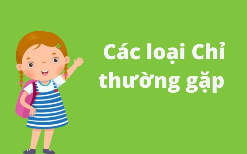 Chỉ từ thường gặp