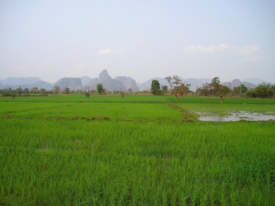 Chia nhỏ thửa đất để tính diện tích