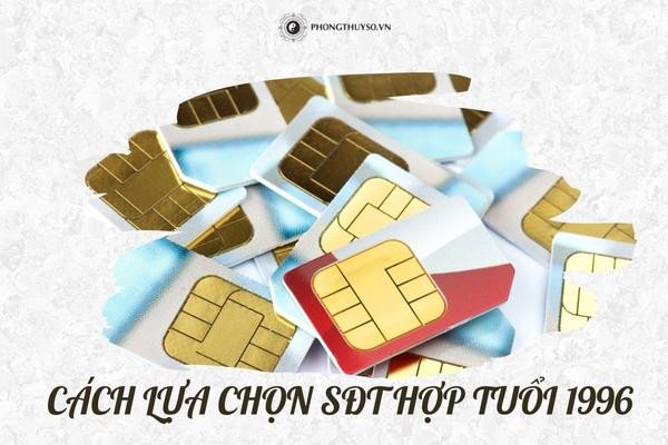 Đồ họa biểu thị các yếu tố ảnh hưởng khi chọn sim phong thủy tuổi 1996 Bính Tý