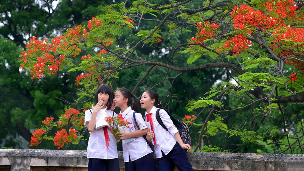 Giải mã ý nghĩa giấc mơ thấy đi học