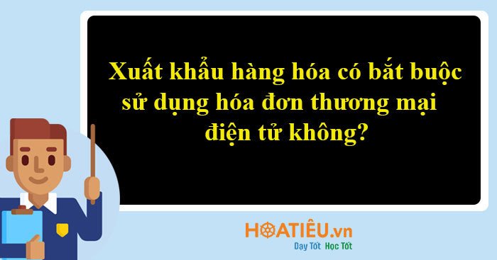 Giao diện minh họa hóa đơn điện tử xuất khẩu hàng hóa