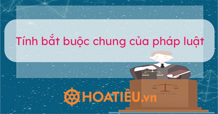 Hệ thống pháp luật Việt Nam với tính bắt buộc chung