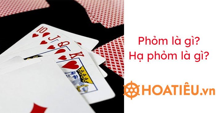 Hình ảnh bộ bài Phỏm đang được người chơi sắp xếp