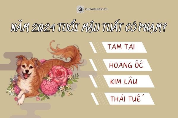Hình ảnh chi tiết lá số tử vi của một người