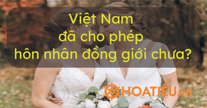 Hình ảnh cộng đồng LGBT thể hiện sự cởi mở và chấp nhận ngày càng tăng đối với hôn nhân đồng giới tại Việt Nam.