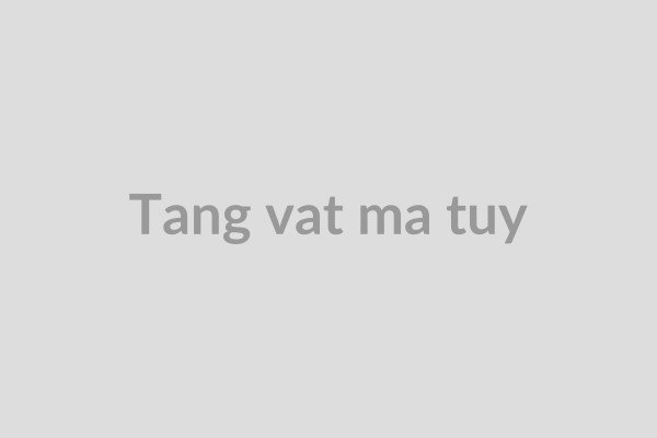 Hình ảnh minh họa các vật chứng thu giữ được, liên quan đến các vụ vi phạm quy định phòng chống ma túy trong hoạt động sản xuất hoặc mua bán