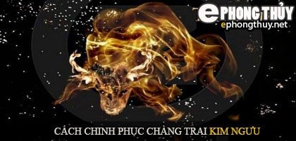 Hình ảnh minh họa cách xây dựng tình yêu bền vững với chàng trai Kim Ngưu