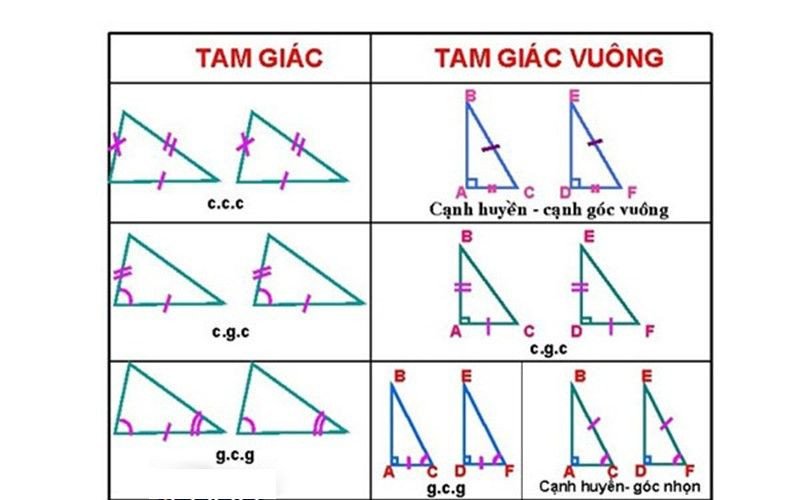 Hình ảnh minh họa hai tam giác vuông đồng dạng theo các trường hợp tỉ lệ cạnh và góc nhọn