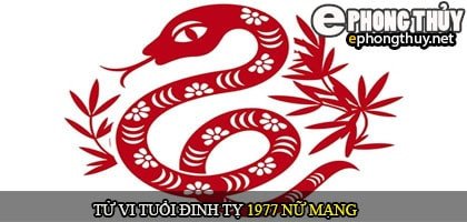 Hình ảnh minh họa vận trình cuộc đời nữ mạng tuổi Đinh Tỵ 1977 theo tử vi