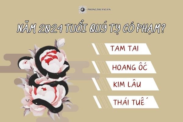 Hình ảnh tượng trưng cho hạn tuổi của nam mạng Quý Tỵ năm 2024