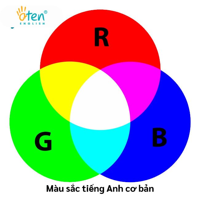 Tìm Hiểu Về Màu Sắc Trong Tiếng Anh