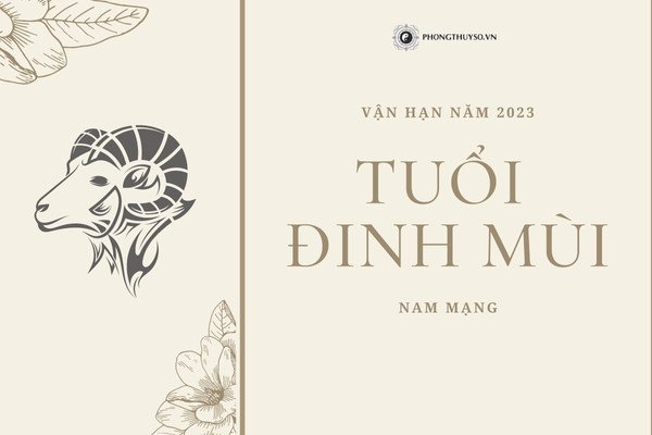 Luận giải sao hạn cho nam giới tuổi Đinh Mùi năm 2023