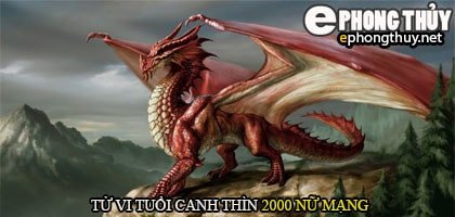 Luận giải tử vi chi tiết cho nữ mạng tuổi Canh Thìn 2000