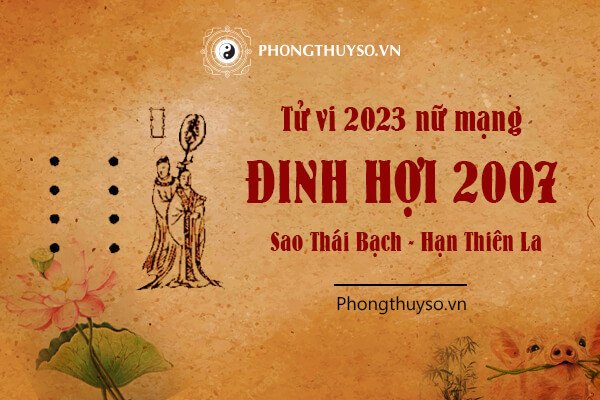 Luận giải tử vi tuổi Đinh Hợi 2007 nữ mạng 2023