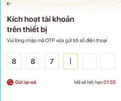 Màn hình nhập mã OTP được gửi đến điện thoại khi kích hoạt định danh điện tử
