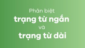 Mô tả phân loại tính từ và trạng từ trong tiếng Anh