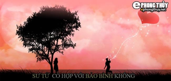 Mối quan hệ giữa cung Sư Tử và cung Bảo Bình