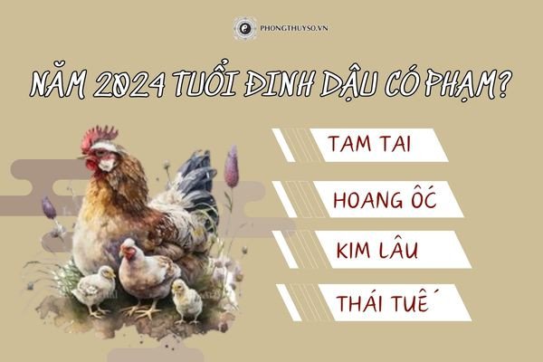 Nam mạng 1957 xem hạn tuổi năm 2024