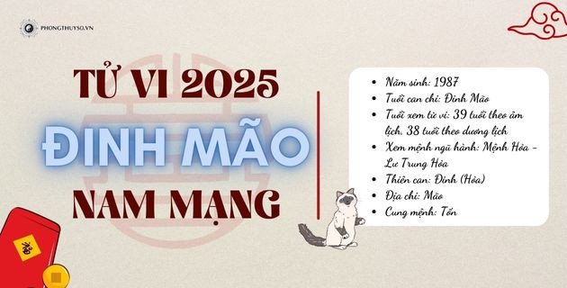 Nam mạng tuổi Đinh Mão 1987 và những dự báo tử vi năm 2025