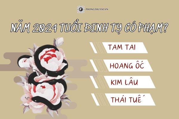 Nam mạng tuổi Đinh Tỵ 1977 xem tử vi năm 2024