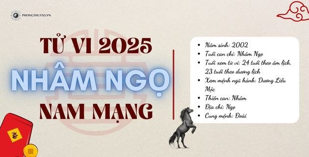 Nam mạng tuổi Nhâm Ngọ 2002 xem tử vi năm 2025