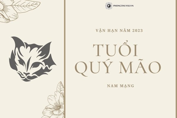Nam mạng tuổi Quý Mão 1963 với vận trình tử vi năm 2023