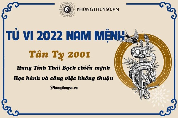 Nam mạng tuổi Tân Tỵ 2001 và dự báo tử vi năm 2022