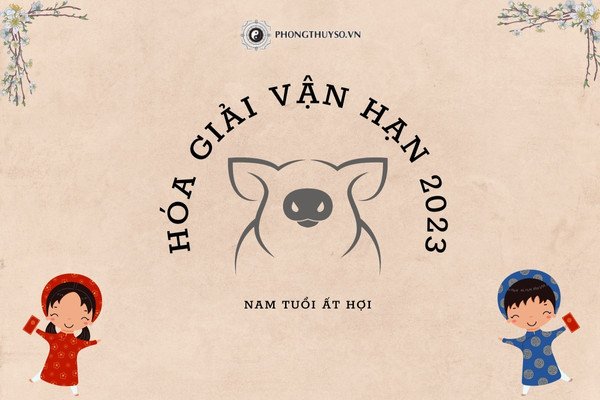 Tử vi tuổi Ất Hợi năm 2023 nam mạng chi tiết