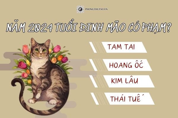 Người đàn ông đang suy tư, nhìn xa xăm