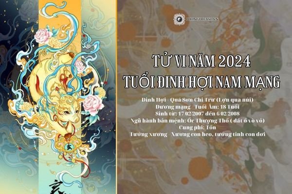 Nữ mạng tuổi Đinh Hợi 2007 nhìn về năm 2024