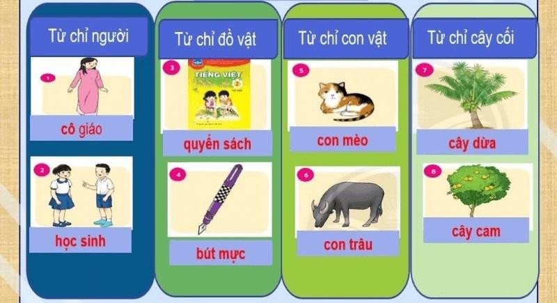 Phân biệt các loại danh từ chỉ sự vật