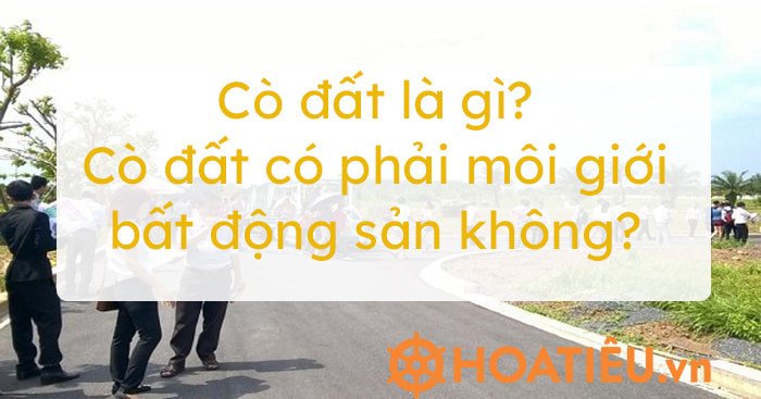 Phân biệt hoạt động của cò đất và môi giới bất động sản chuyên nghiệp