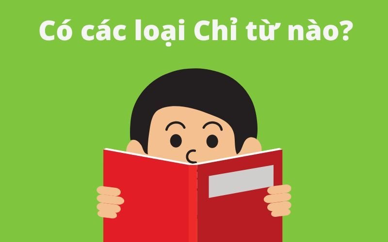 Phân loại chỉ từ