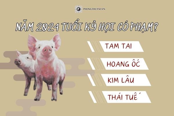 Phân tích vận trình tử vi tuổi Kỷ Hợi 1959 nữ mạng