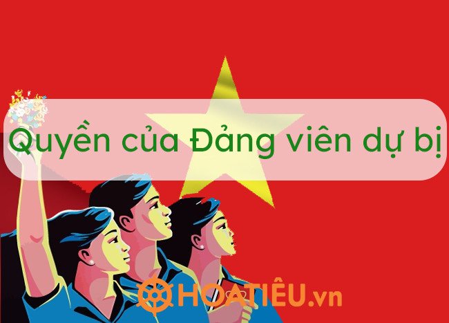Quá trình phấn đấu và tiêu chuẩn để được công nhận Đảng viên