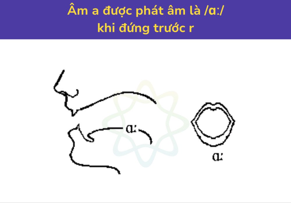 Quy tắc phát âm a là /ɑː/ trước r
