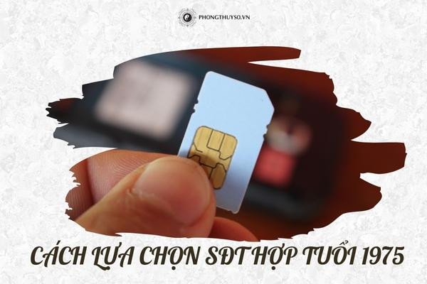 Sim phong thủy hợp tuổi 1975 Ất Mão
