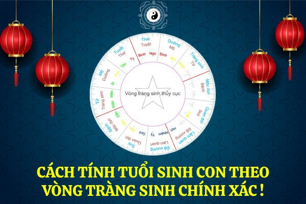 Sơ đồ biểu diễn Vòng Tràng Sinh với 12 giai đoạn
