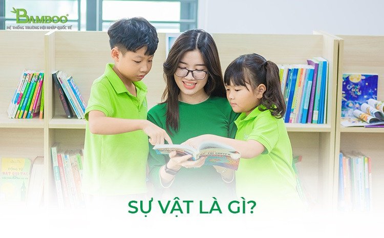 Sự vật và định nghĩa cơ bản