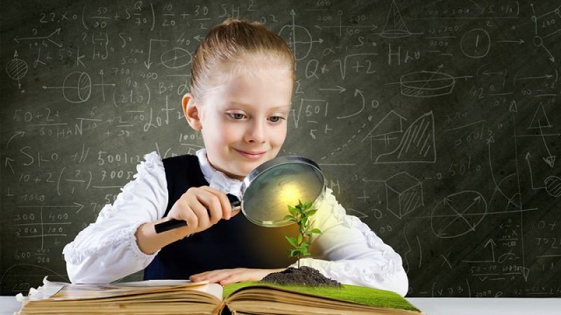 Tìm hiểu về sách phát triển tư duy cho trẻ