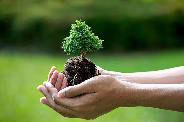 Tính cách đặc trưng của người mệnh Mộc