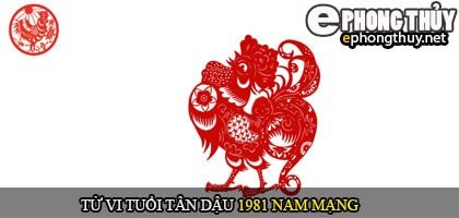 Tổng quan tử vi trọn đời nam mạng tuổi Tân Dậu 1981