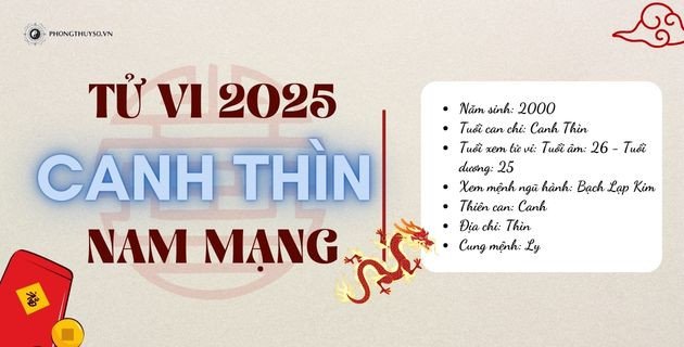 Tổng quan tử vi tuổi Canh Thìn năm 2025 nam mạng