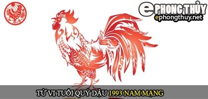 Tổng quan tử vi tuổi Quý Dậu 1993 nam mạng