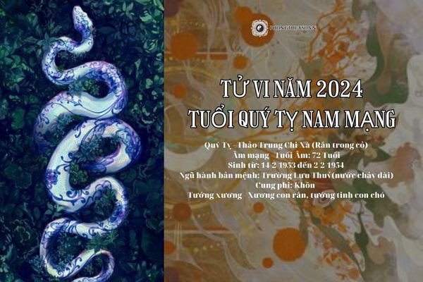 Tổng quan tử vi tuổi Quý Tỵ nam mạng năm 2024, nam giới sinh năm 1953